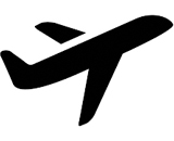 Domestic Airlines